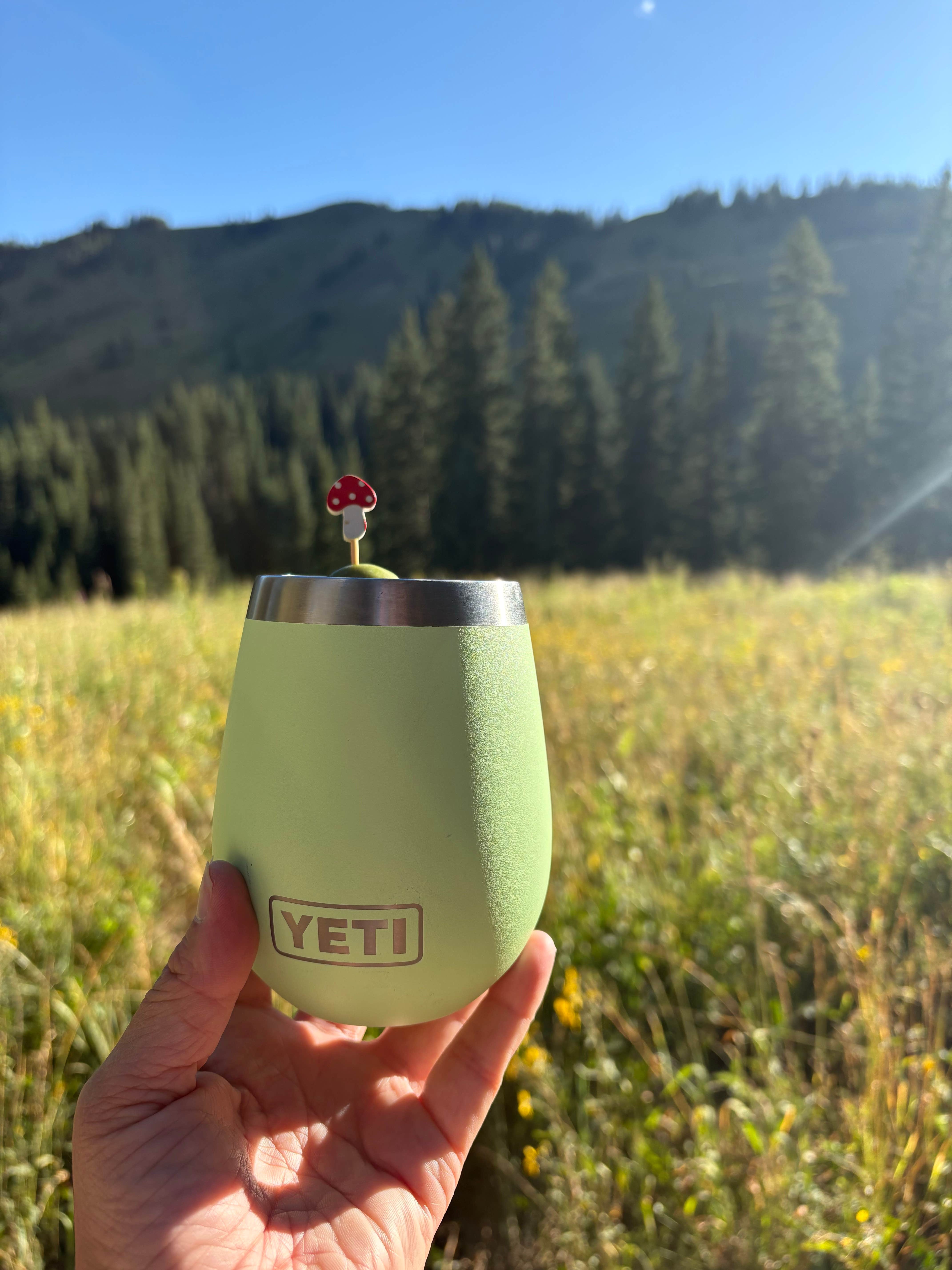 Camper submitted image from Washington Gulch - Dispersed Camping - 5