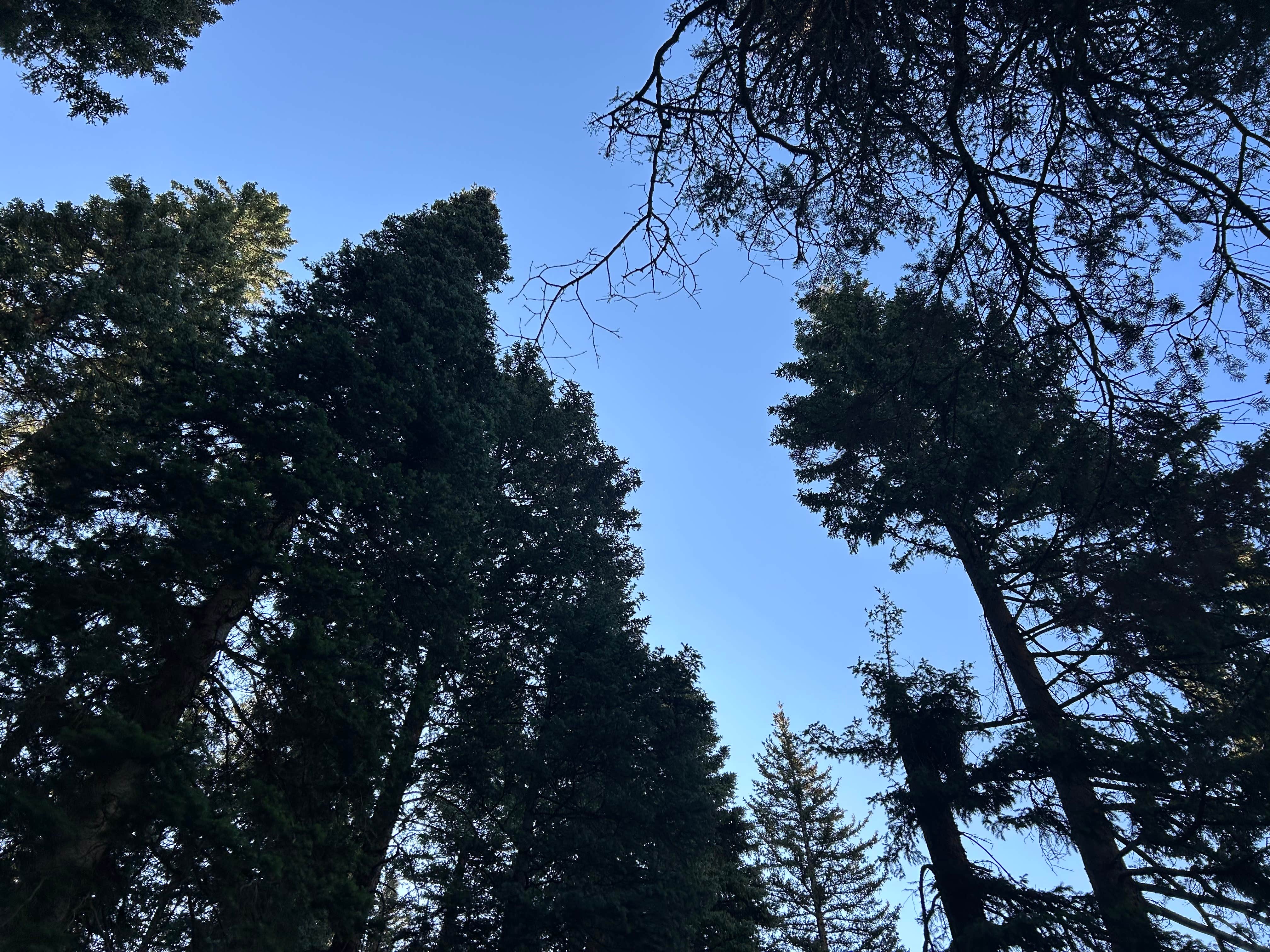 Camper-submitted photo at Washington Gulch - Dispersed Camping near Snowmass Village, CO