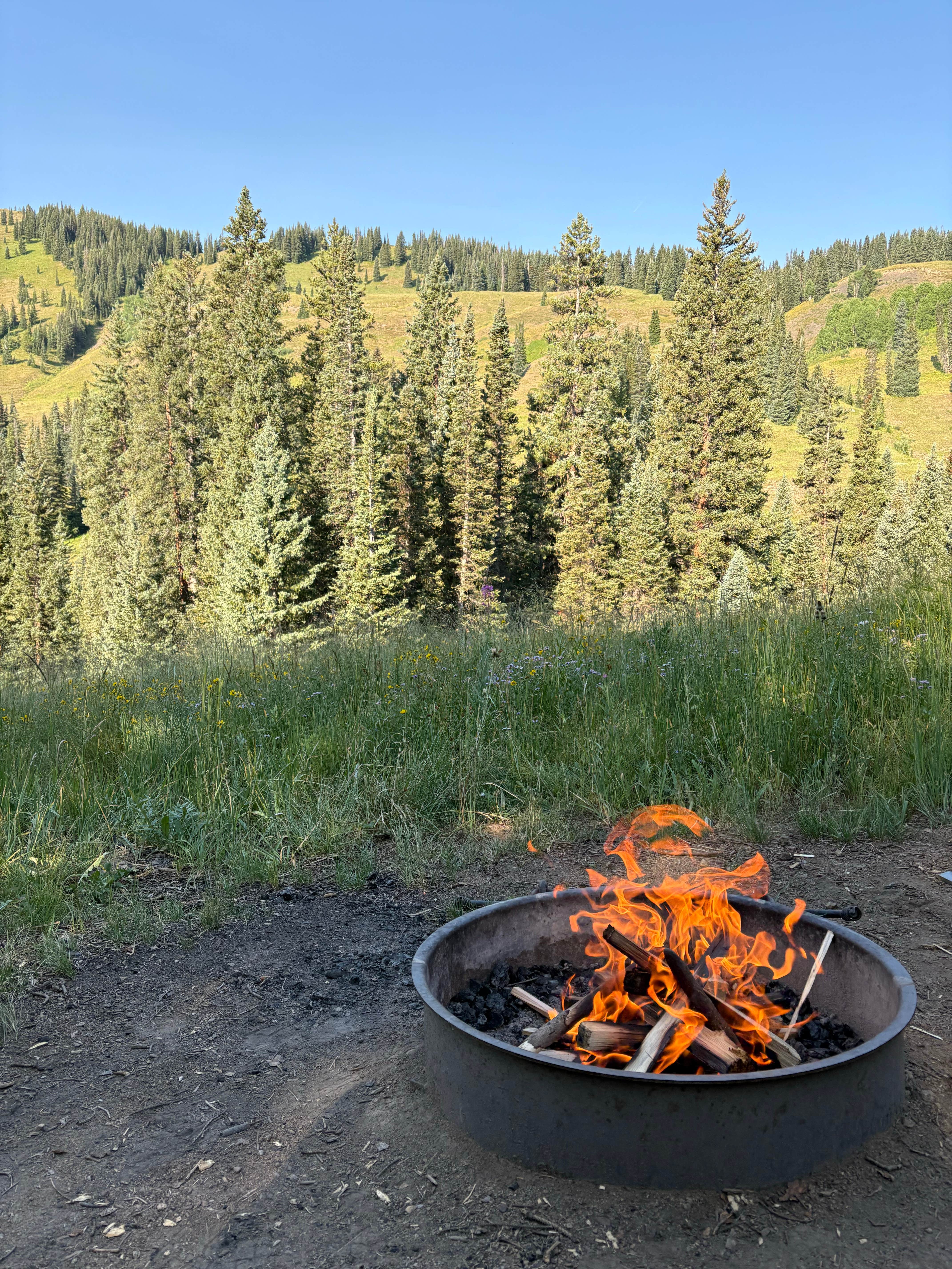 Camper-submitted photo at Washington Gulch - Dispersed Camping near Snowmass Village, CO