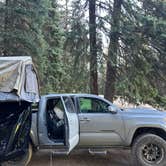 Review photo of Washington Gulch - Dispersed Camping by michal W., July 13, 2025