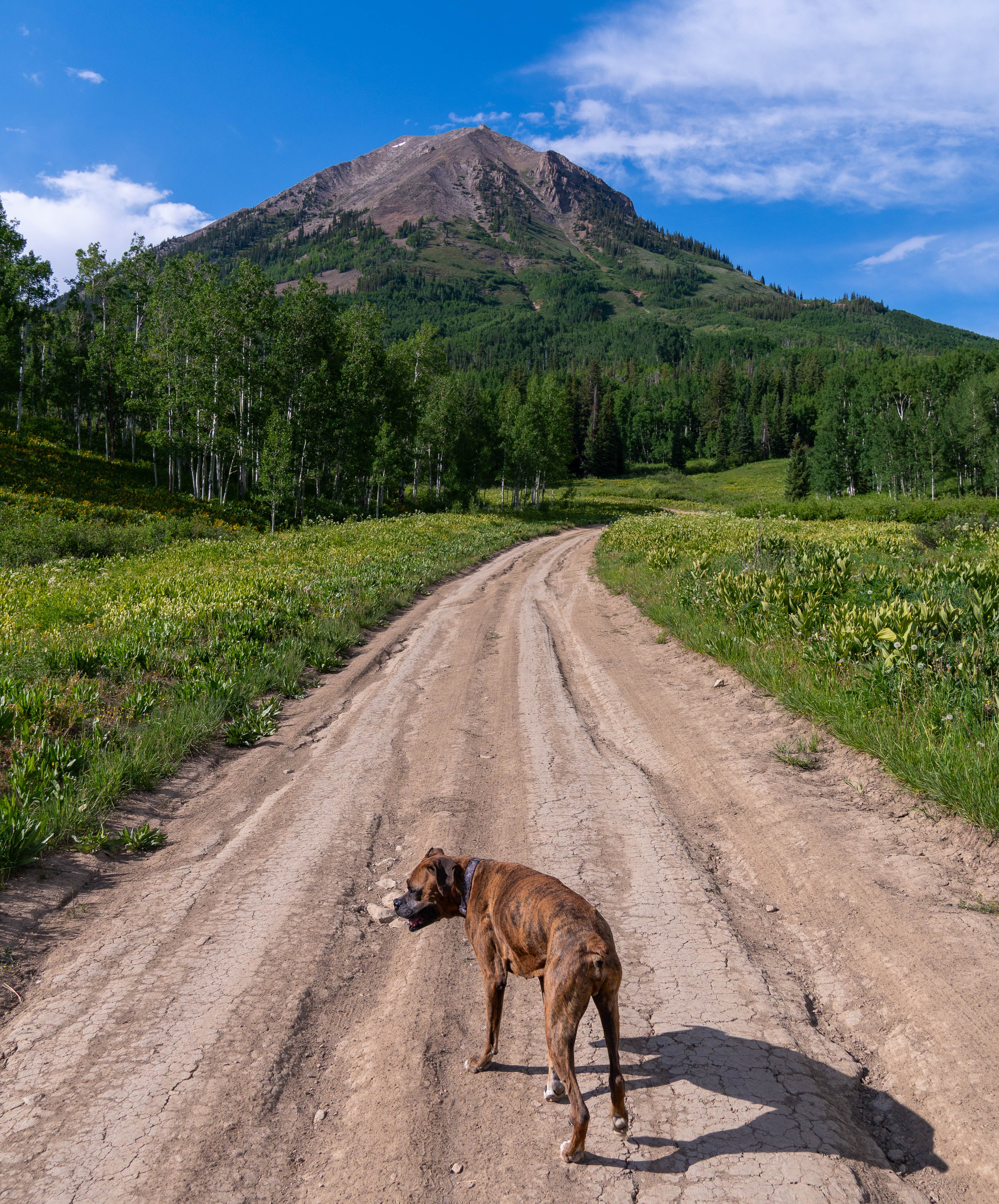 Camper submitted image from Washington Gulch - Dispersed Camping - 4