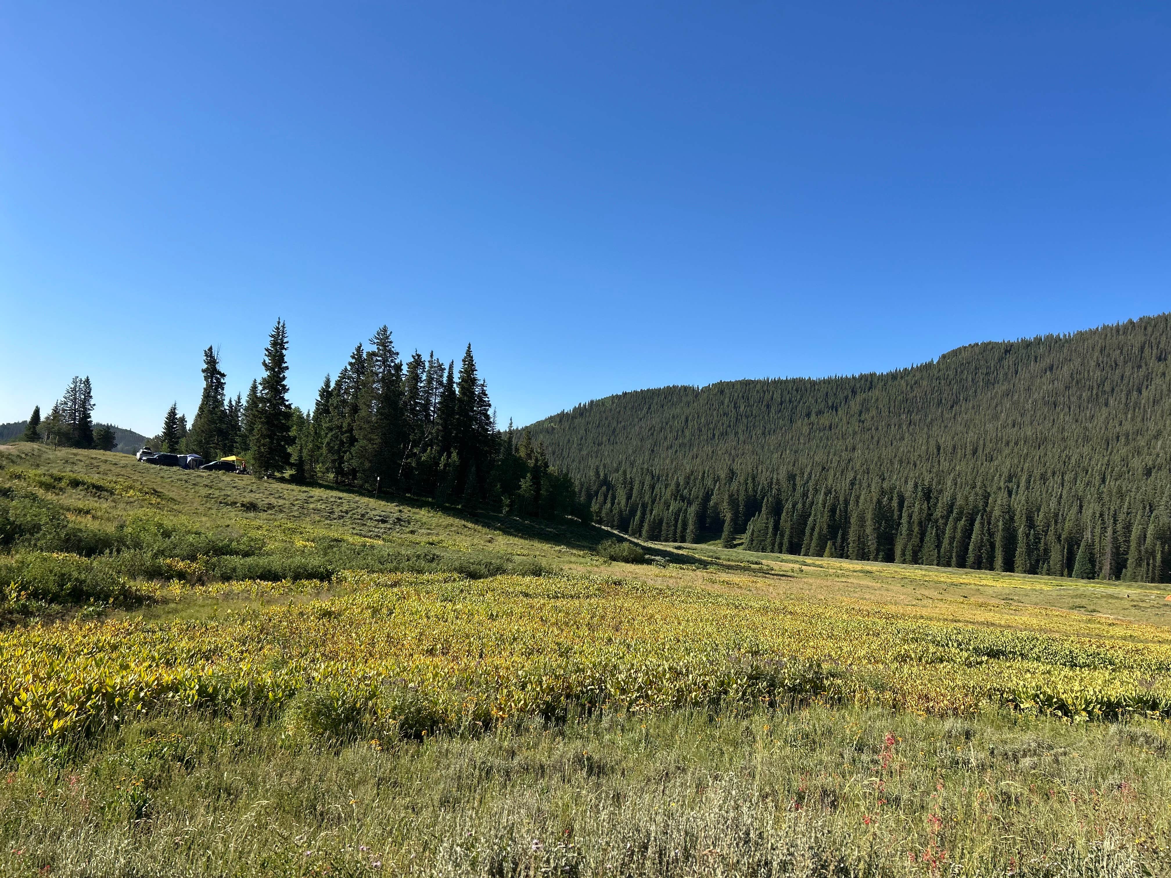 Camper-submitted photo at Washington Gulch - Dispersed Camping near Snowmass Village, CO