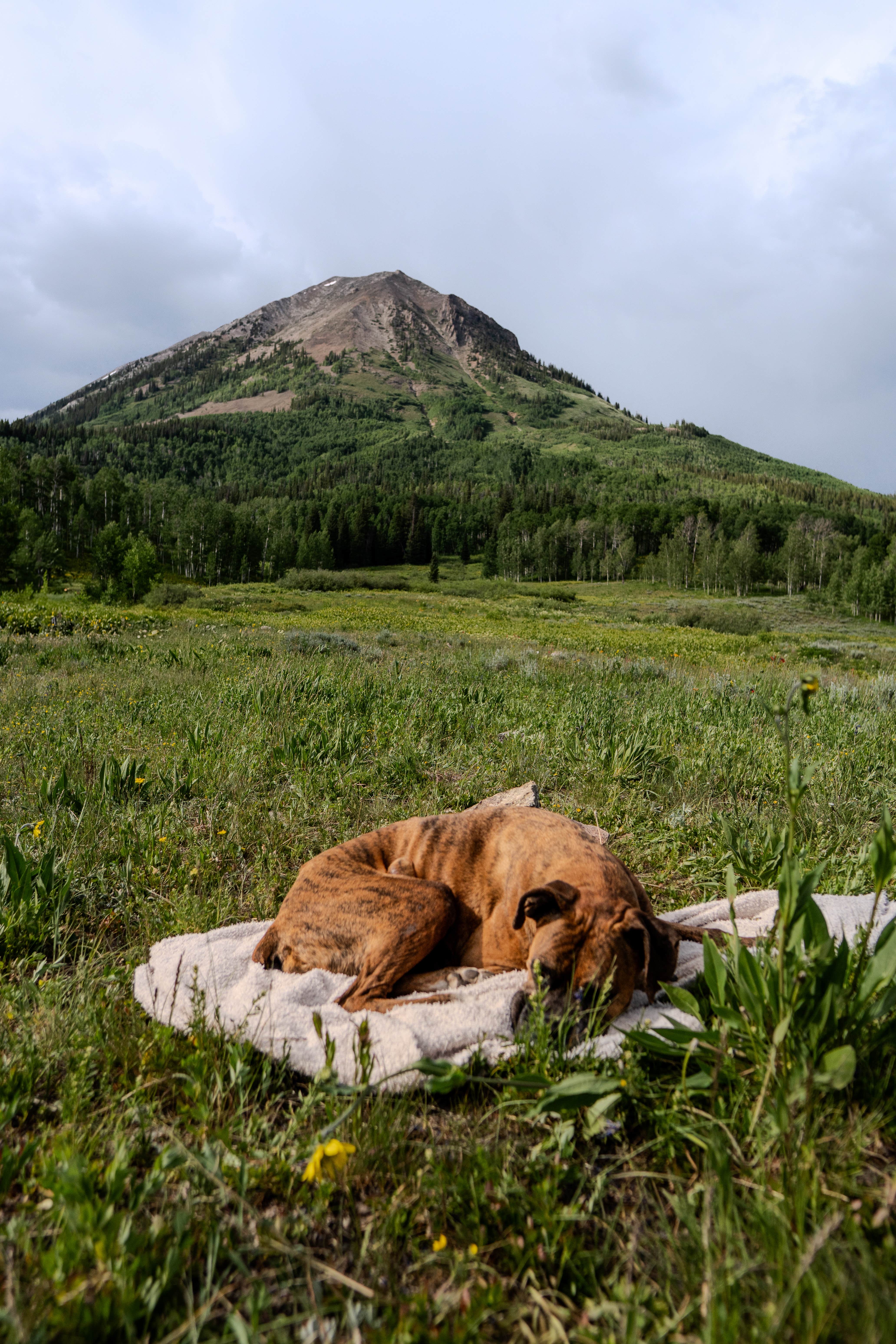Camper submitted image from Washington Gulch - Dispersed Camping - 1