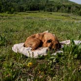 Review photo of Washington Gulch - Dispersed Camping by Mack Daddy Van L., July 3, 2025