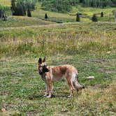 Review photo of Washington Gulch Dispersed Camping by Jennine R., August 22, 2024