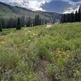 Review photo of Washington Gulch Dispersed Camping - PERMANENTLY CLOSED by Lydia M., July 7, 2025