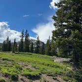 Review photo of Washington Gulch Dispersed Camping by Michelle P., June 29, 2024