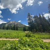 Review photo of Washington Gulch Dispersed Camping by Michelle P., June 29, 2024