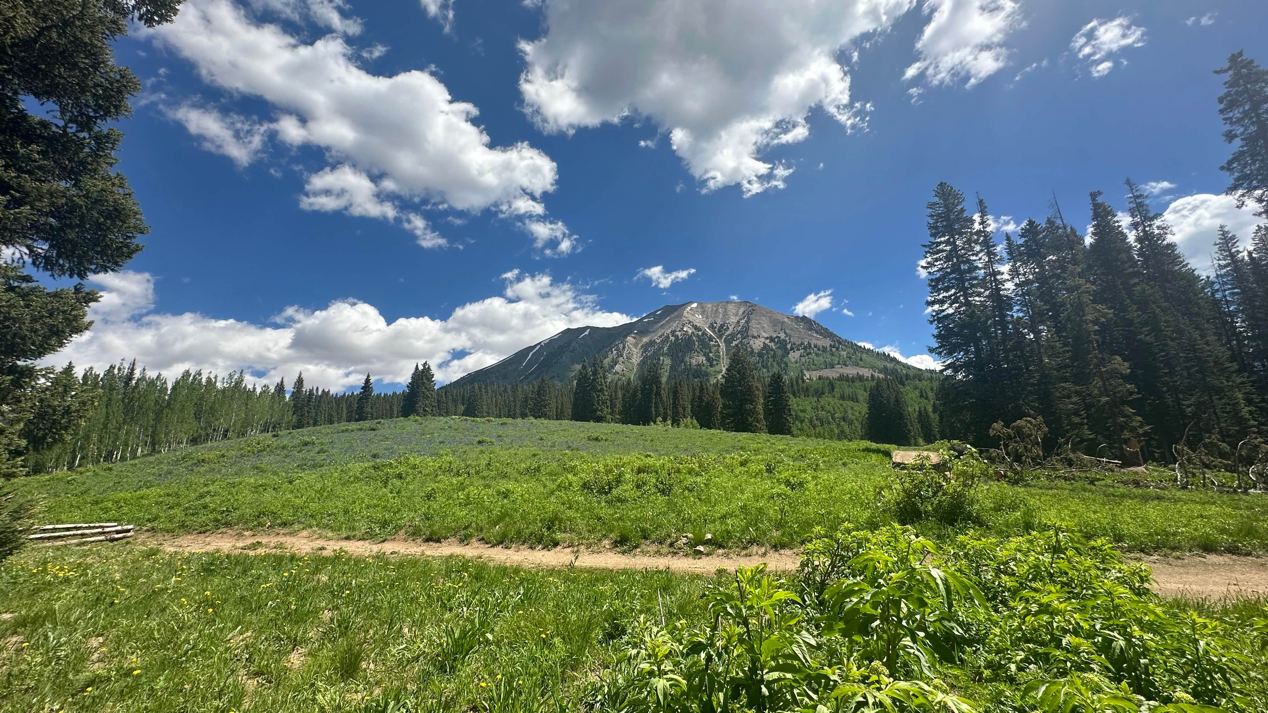 Camper submitted image from Washington Gulch Dispersed Camping - 1