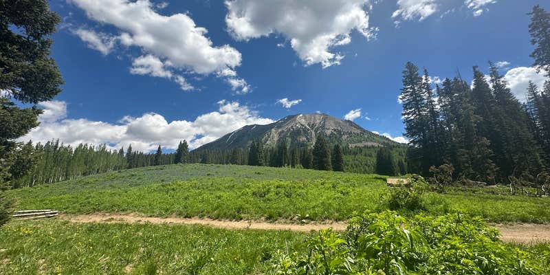Camper submitted image from Washington Gulch Dispersed Camping - PERMANENTLY CLOSED