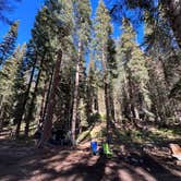 Review photo of Washington Gulch Dispersed Camping by Angel R., June 18, 2024