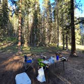 Review photo of Washington Gulch Dispersed Camping by Angel R., June 18, 2024