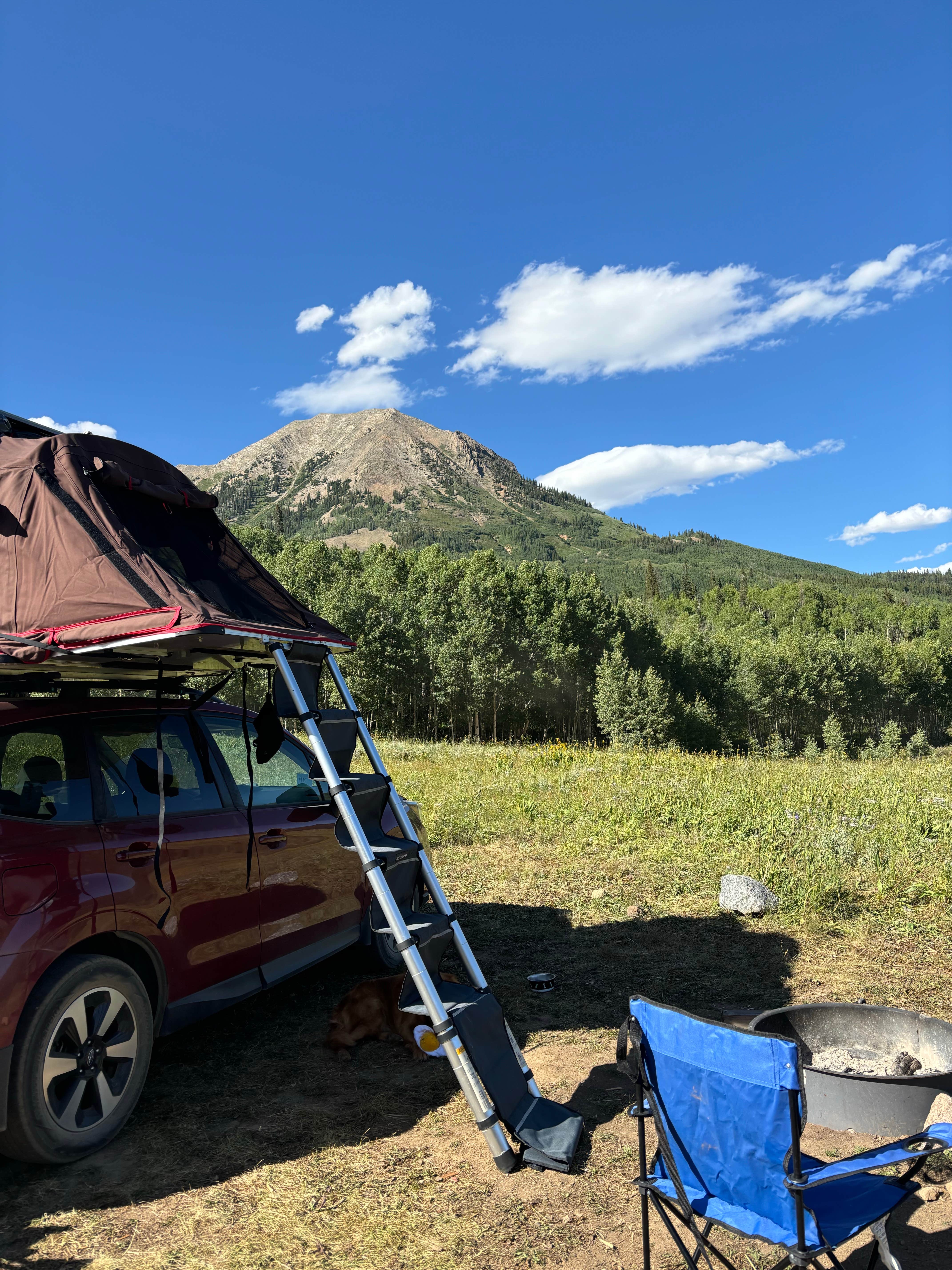 Chelsea V.'s photo of camping with pets at Washington Gulch Dispersed Camping - PERMANENTLY CLOSED near Gunnison, CO