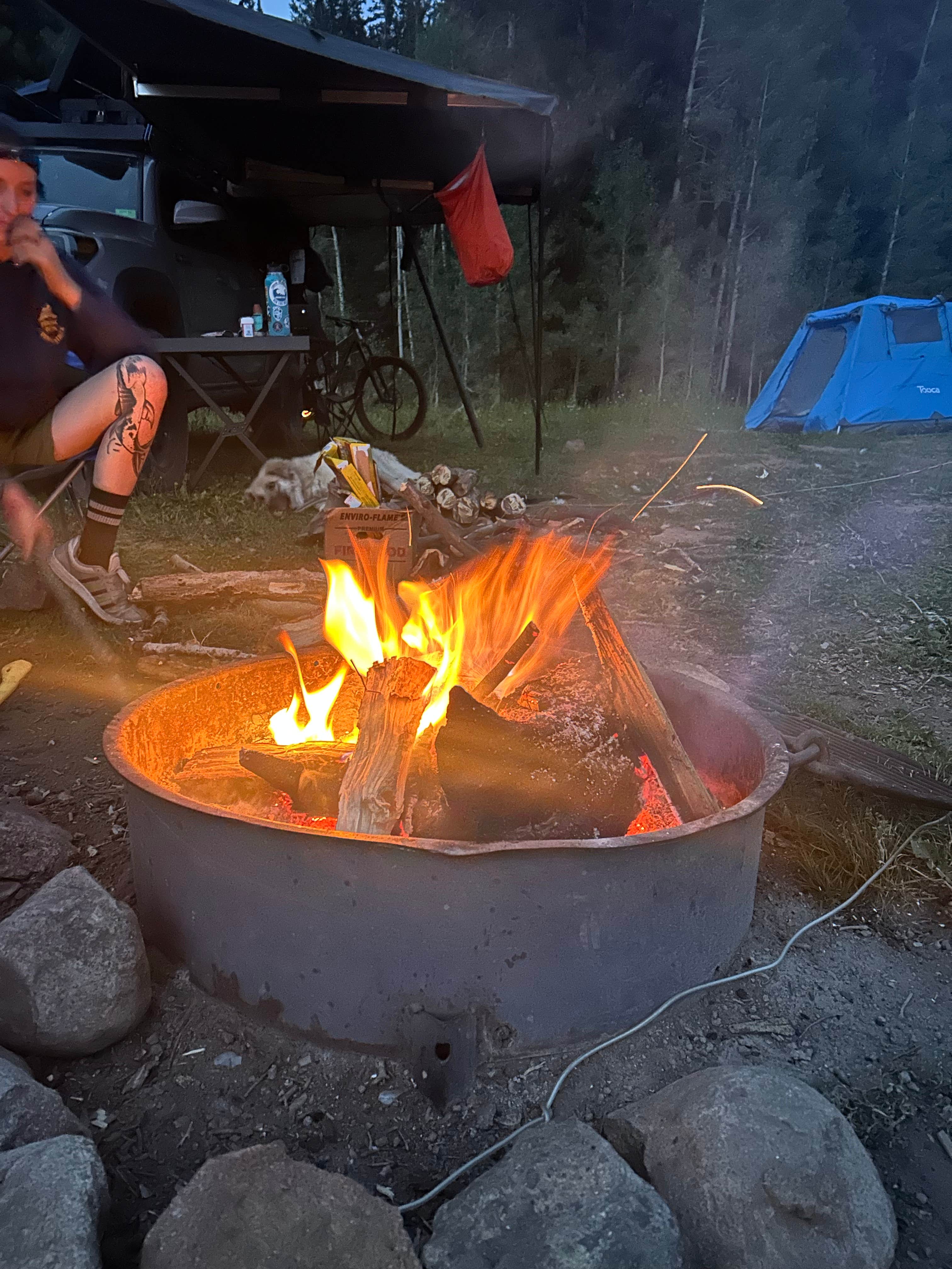 Heather P.'s photo of camping with pets at Washington Gulch Dispersed 2 - PERMANENTLY CLOSED near Almont, CO