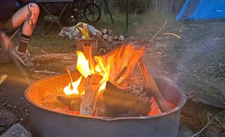 Heather P.'s photo of camping with pets at Washington Gulch Dispersed 2 - PERMANENTLY CLOSED near Almont, CO