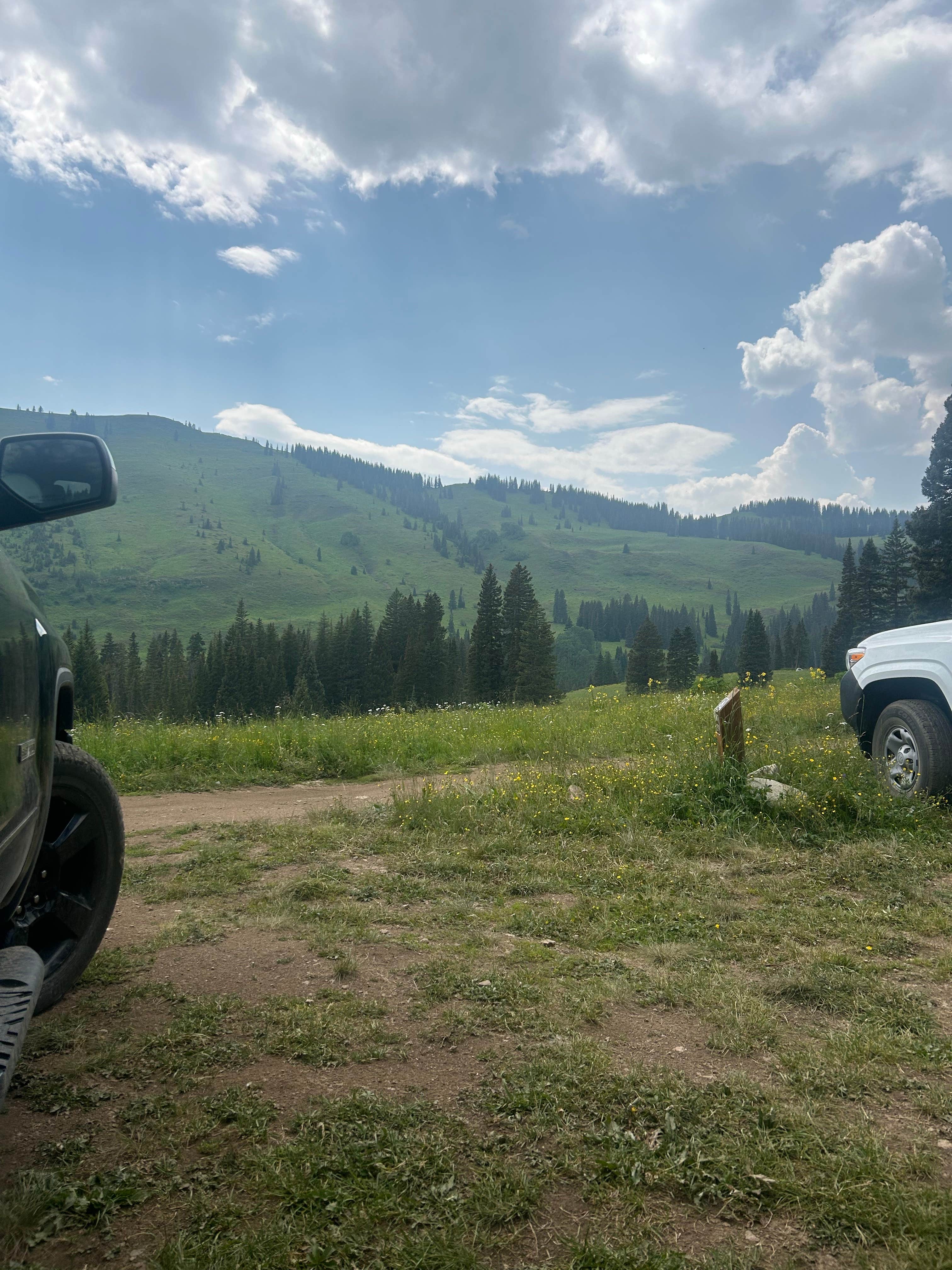 Heather P.'s photo of a dispersed camping area at Washington Gulch Dispersed 2 - PERMANENTLY CLOSED near Almont, CO