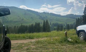 Heather P.'s photo of a dispersed camping area at Washington Gulch Dispersed 2 - PERMANENTLY CLOSED near Crested Butte, CO