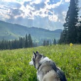 Review photo of Washington Gulch Dispersed 2 by Heather P., July 25, 2024