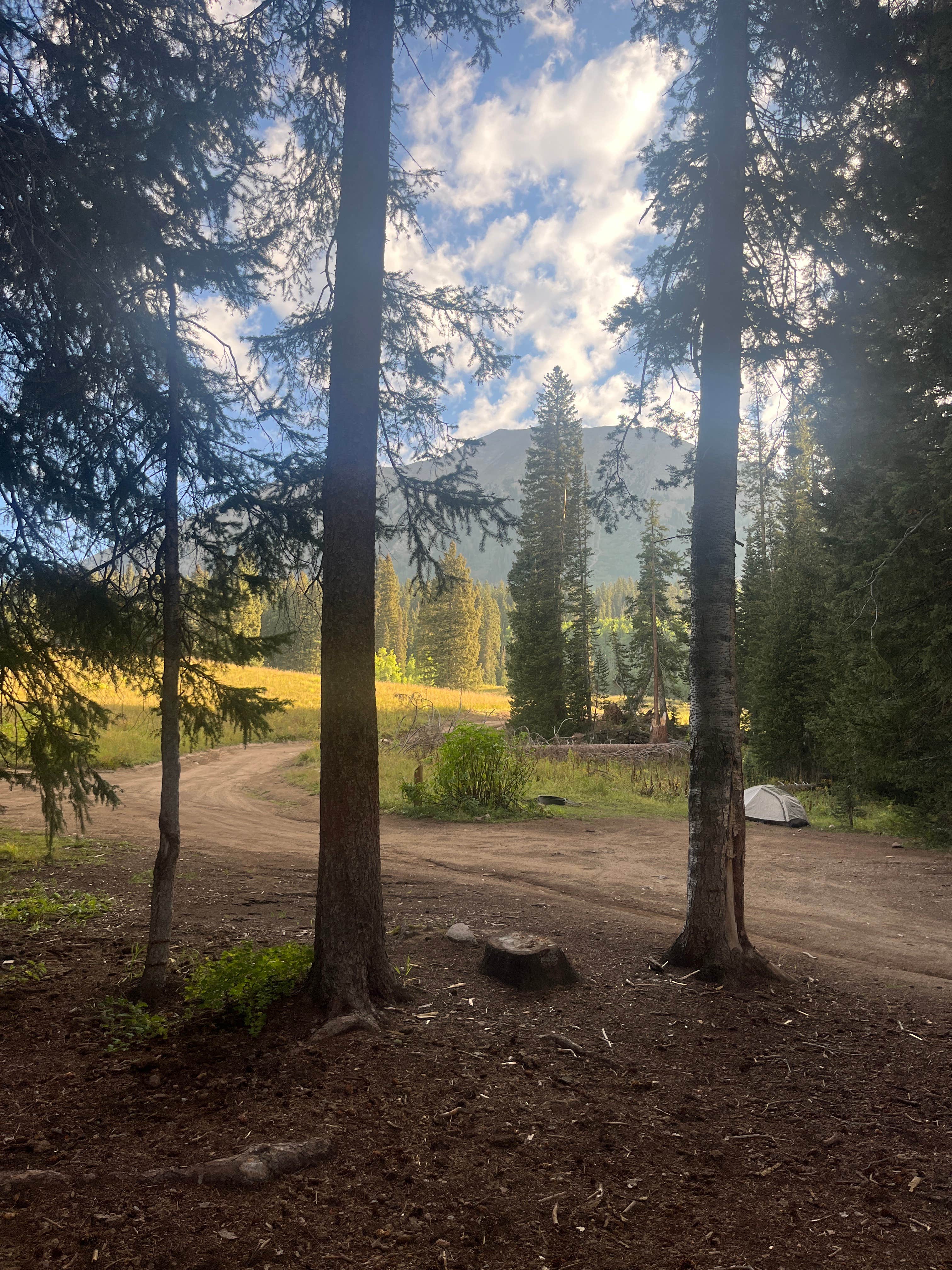 Deitz B.'s photo of a dispersed camping area at Washington Gulch Dispersed 2 - PERMANENTLY CLOSED near Marble, CO
