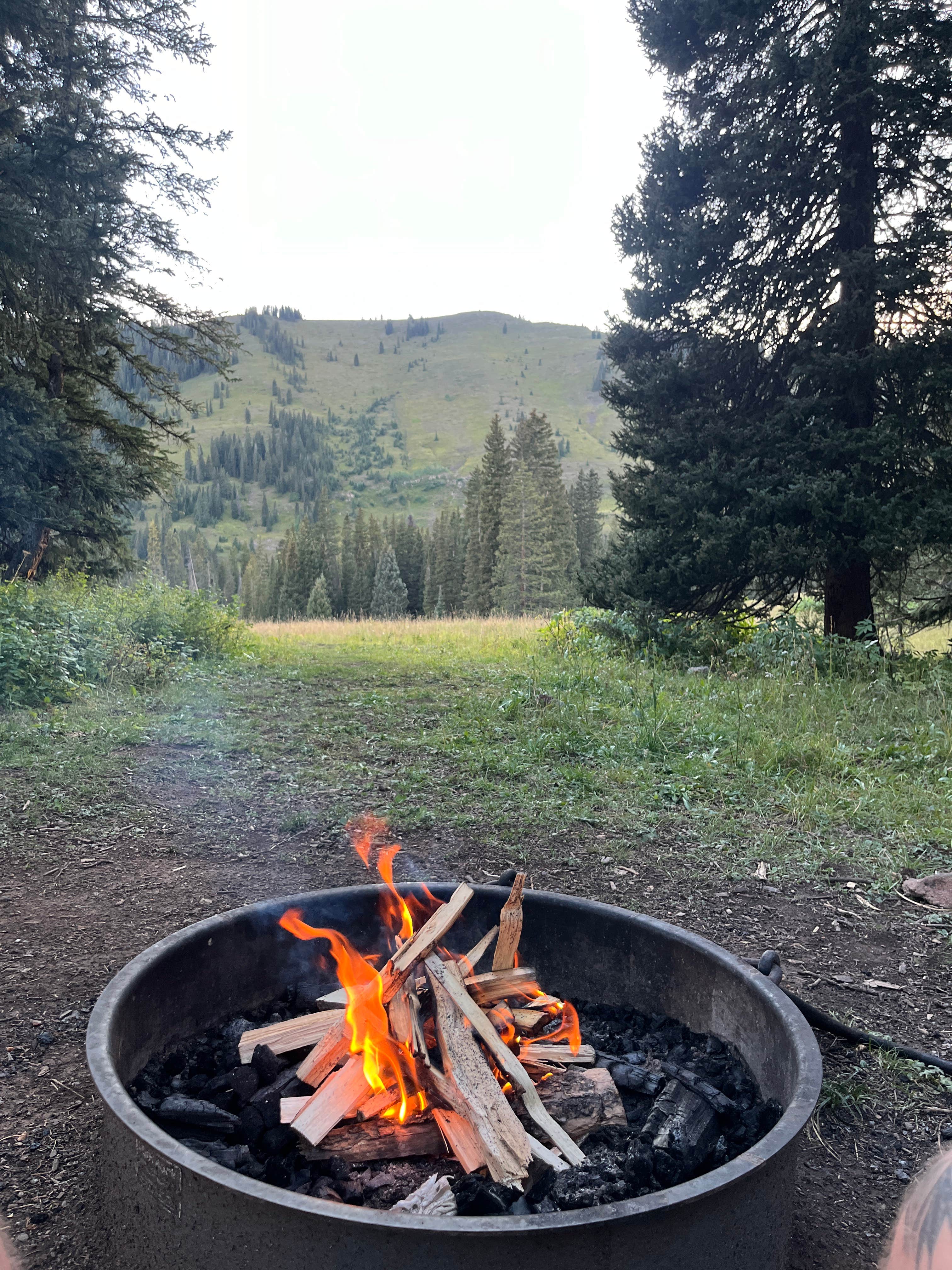 Camper submitted image from Washington Gulch Dispersed 2 - 1