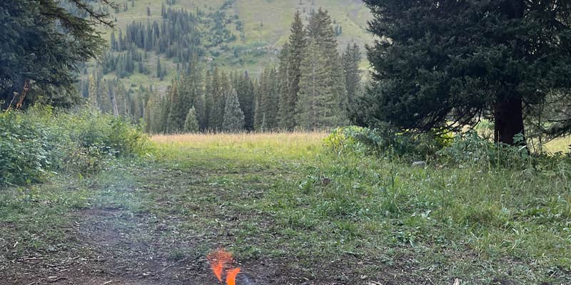 Camper submitted image from Washington Gulch Dispersed 2 - PERMANENTLY CLOSED