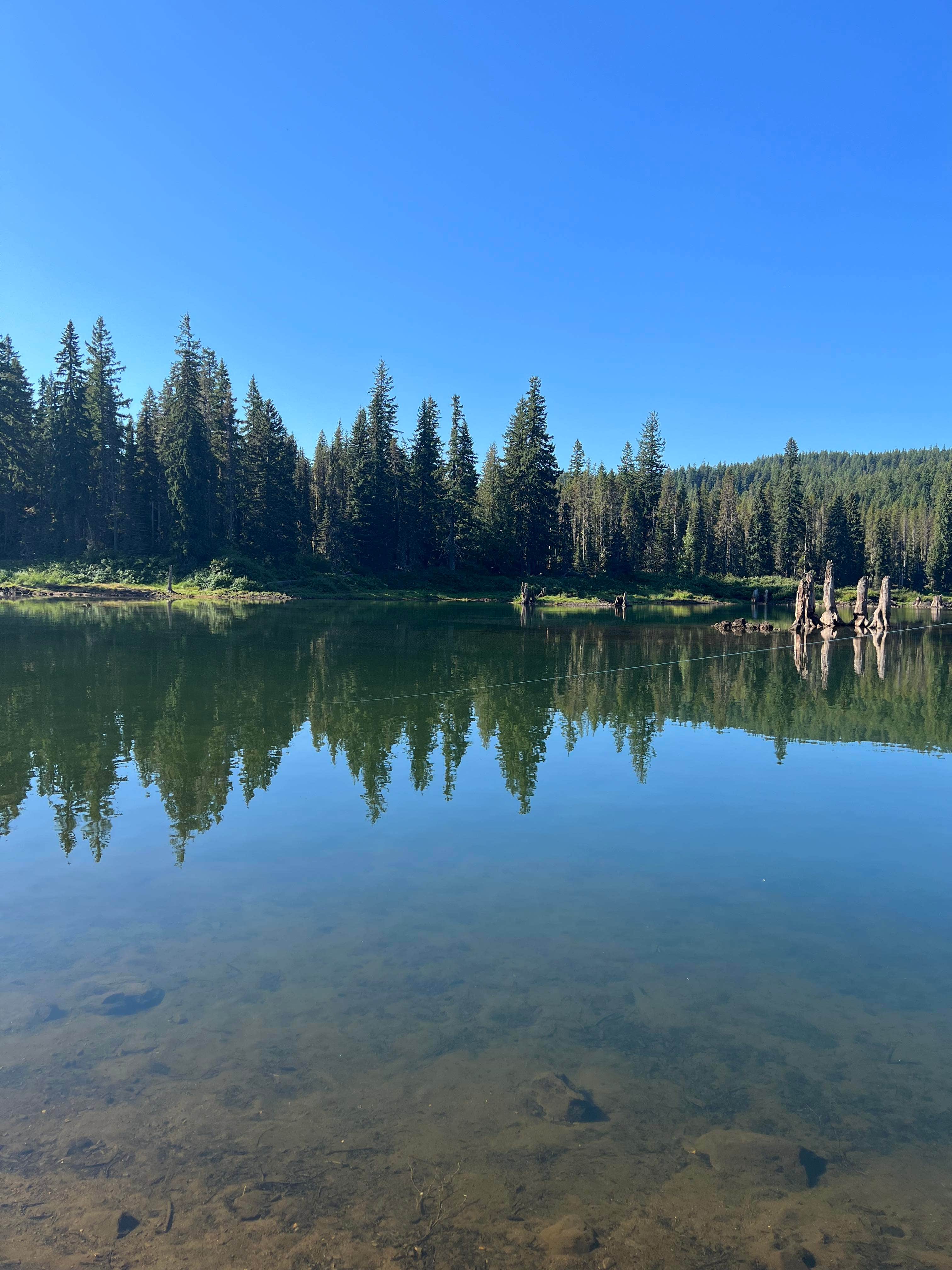 Camper-submitted photo at Trout Lake Guler Park near Trout Lake, WA