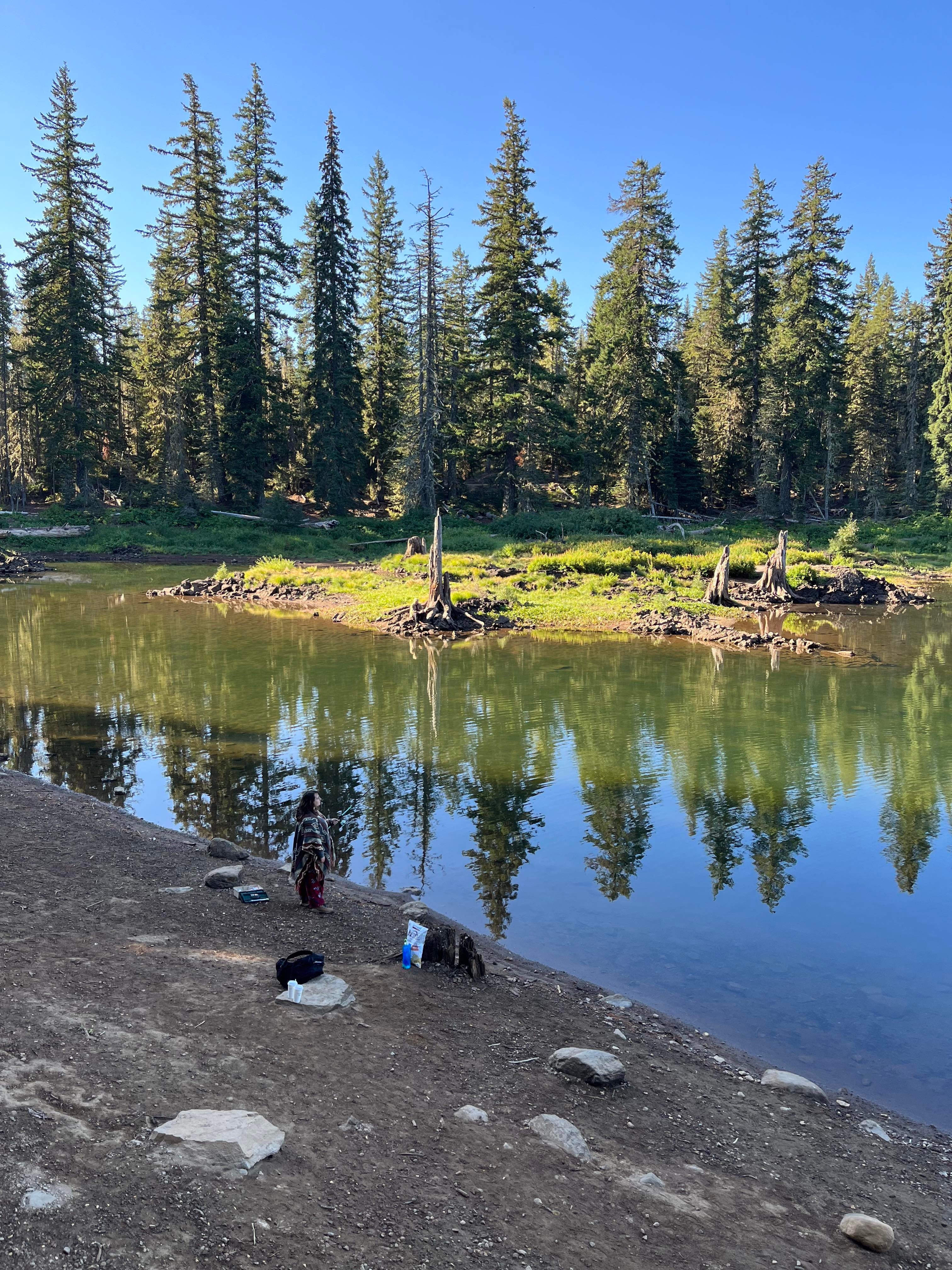 Camper submitted image from Trout Lake Guler Park - 4