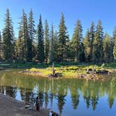 Review photo of Trout Lake Guler Park by Alix J., September 13, 2023