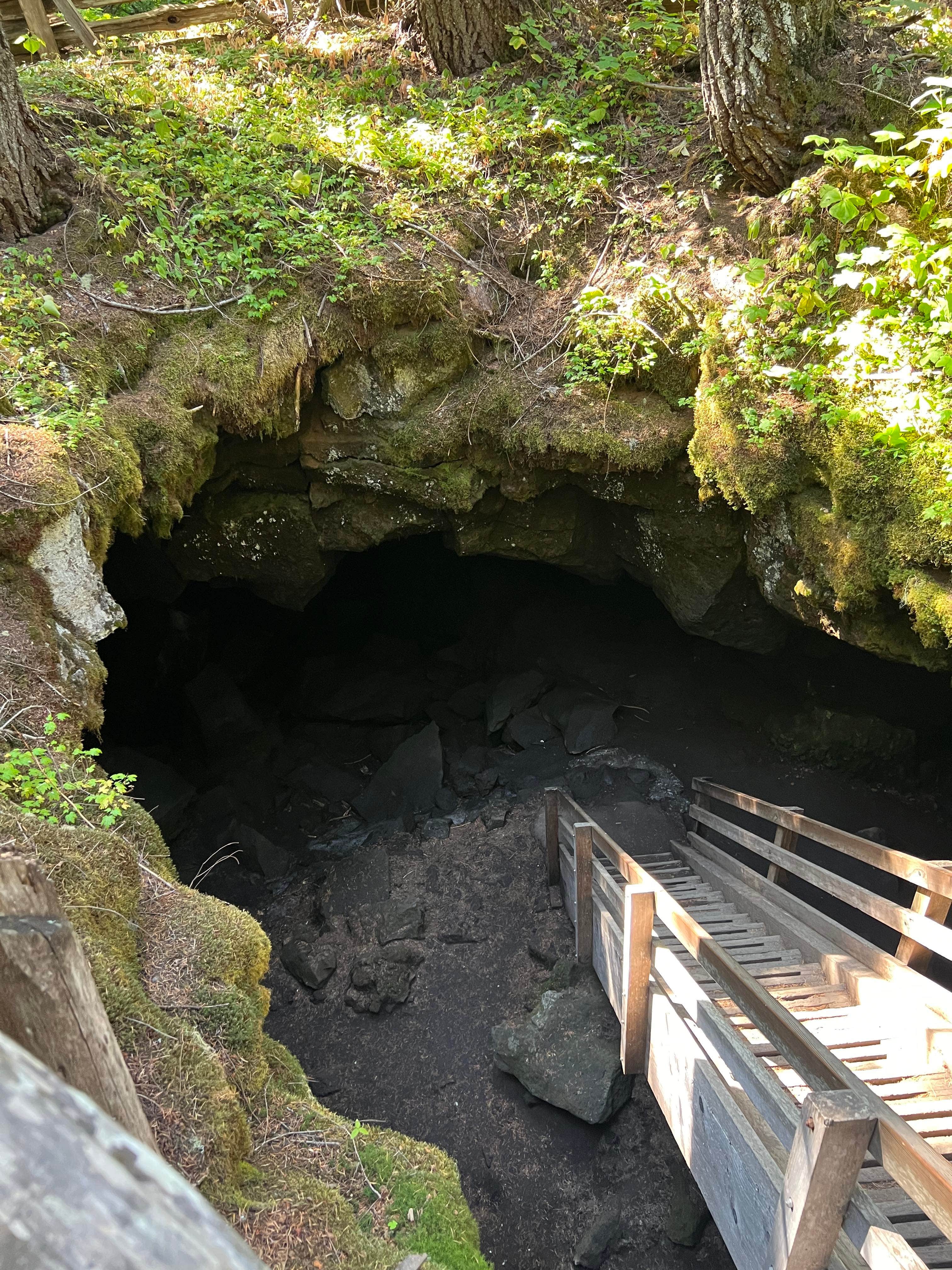 Camper-submitted photo at Trout Lake Guler Park near Trout Lake, WA