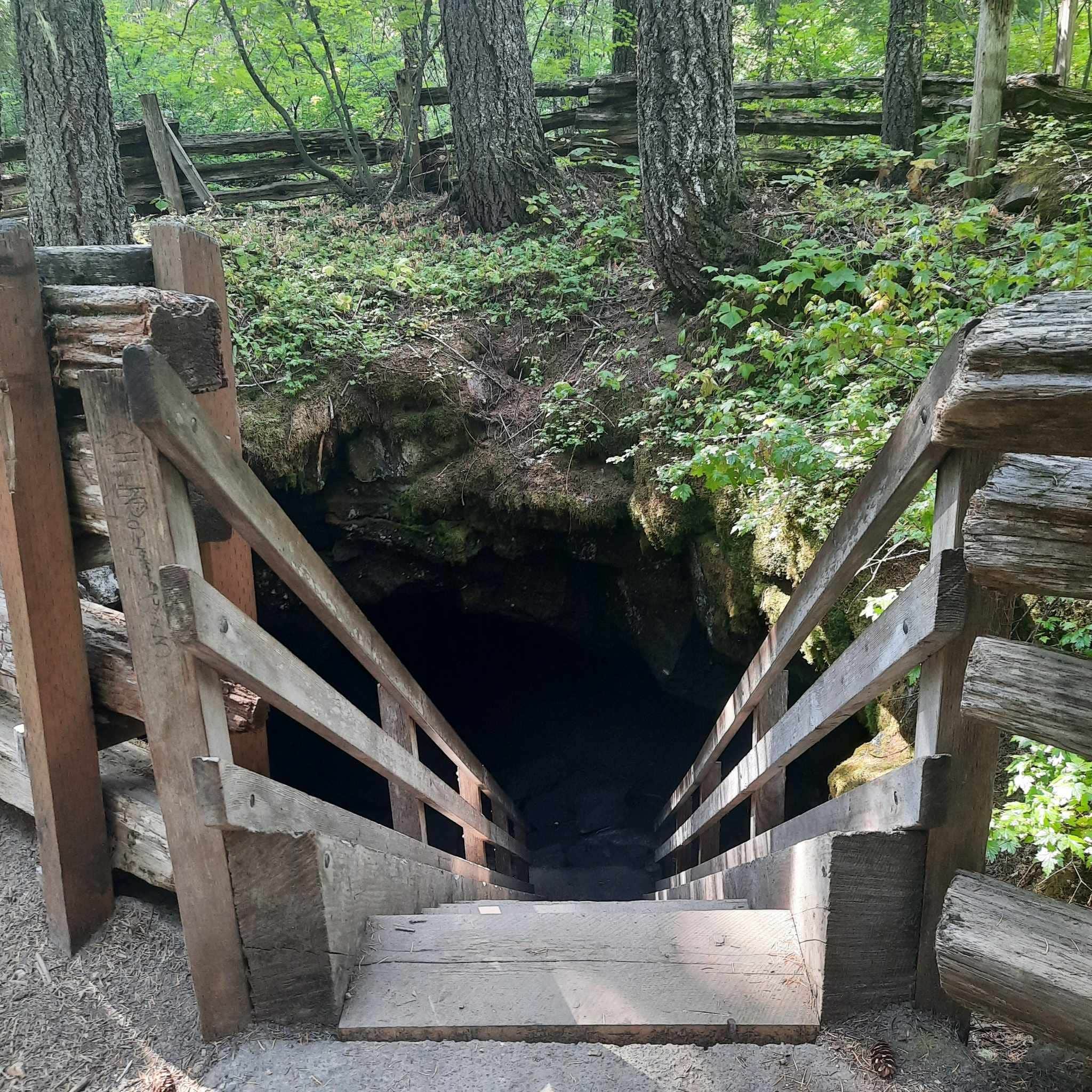 Camper-submitted photo at Trout Lake Guler Park near Trout Lake, WA