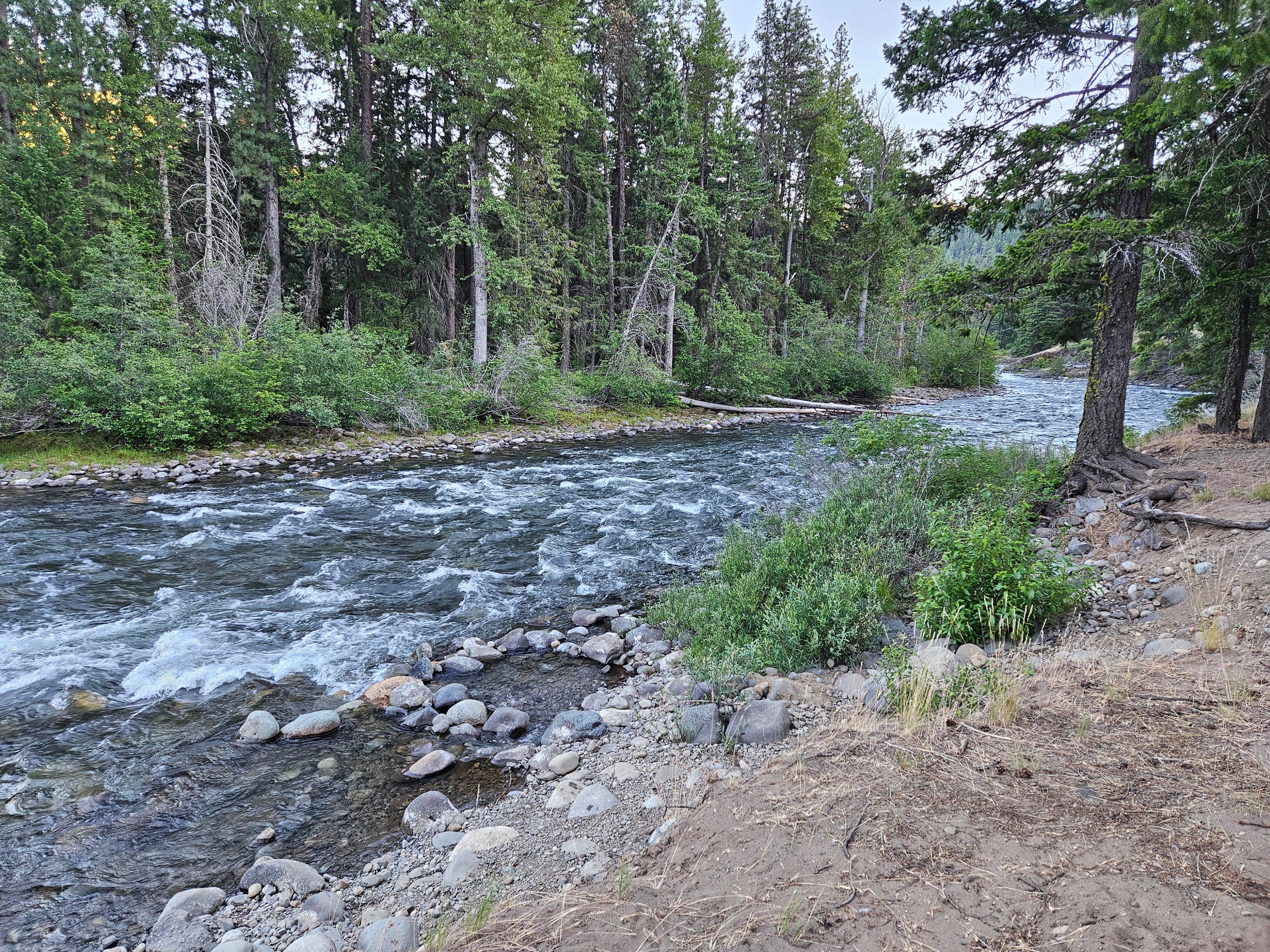 Camper submitted image from Halfway Flat Campground - 3