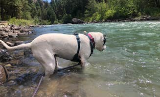 Olivia's photo of camping with pets at Hause Creek Campground near Tieton, WA
