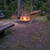 Review photo of Heart O' the Hills Campground — Olympic National Park by Kendra P., May 4, 2025
