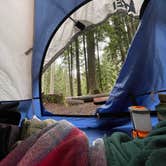 Review photo of Heart O' the Hills Campground — Olympic National Park by haley L., June 3, 2025