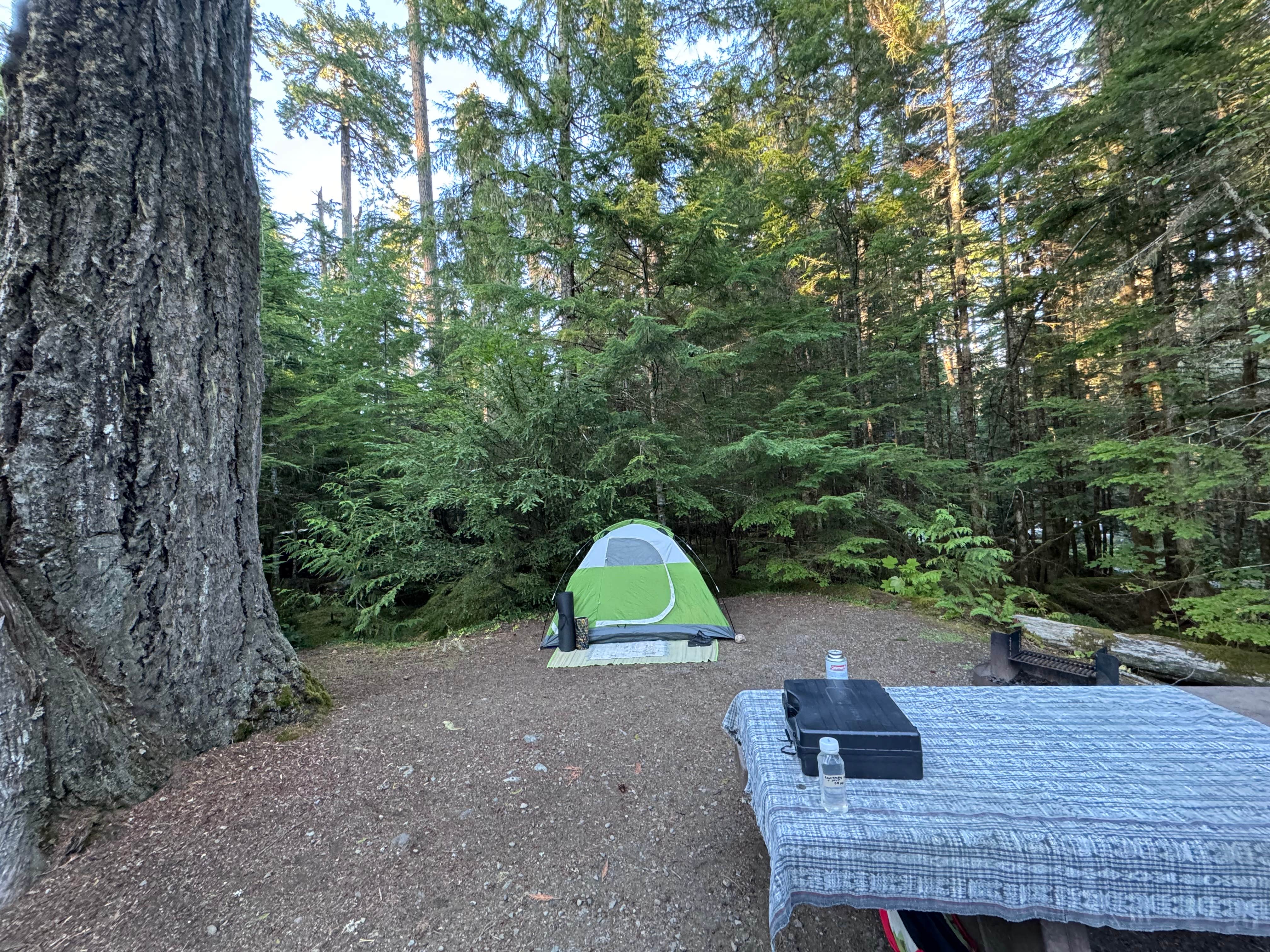 Renegade M.'s photo at Heart O' the Hills Campground — Olympic National Park near Port Angeles, WA