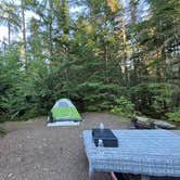 Review photo of Heart O' the Hills Campground — Olympic National Park by Renegade M., September 11, 2024