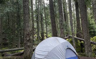 haley L.'s photo at Heart O' the Hills Campground — Olympic National Park near Port Angeles, WA