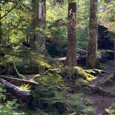 Review photo of Heart O' the Hills Campground — Olympic National Park by Blaine R., October 18, 2024