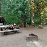 Review photo of Hoh Oxbow Campground by Starseed P., January 31, 2025