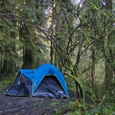Review photo of Hoh Oxbow Campground by kit K., April 7, 2026