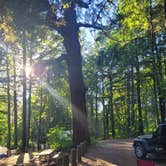 Review photo of Home Valley Campground by Martijn D., June 30, 2024