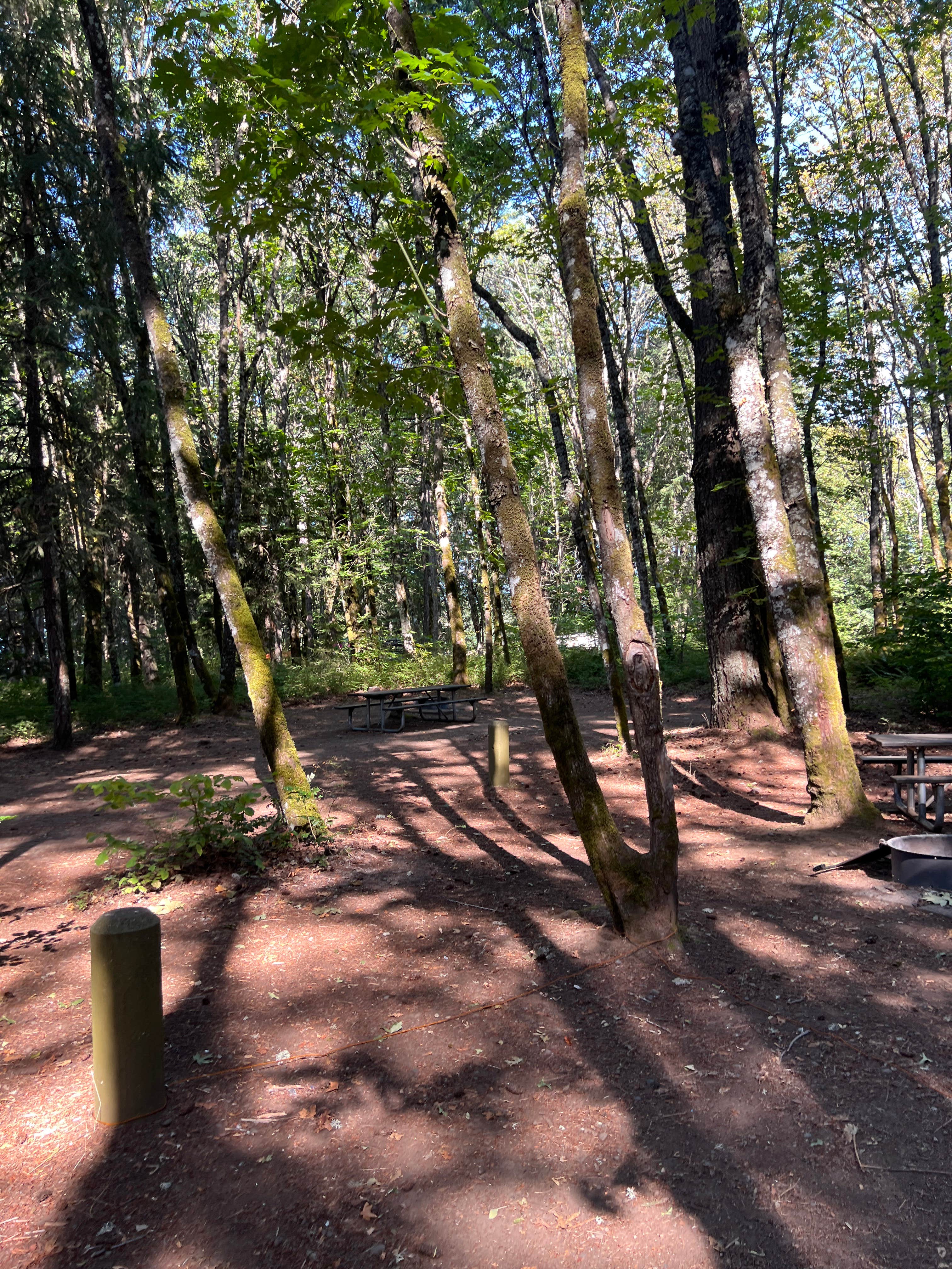 Camper-submitted photo at Home Valley Campground near Stevenson, WA