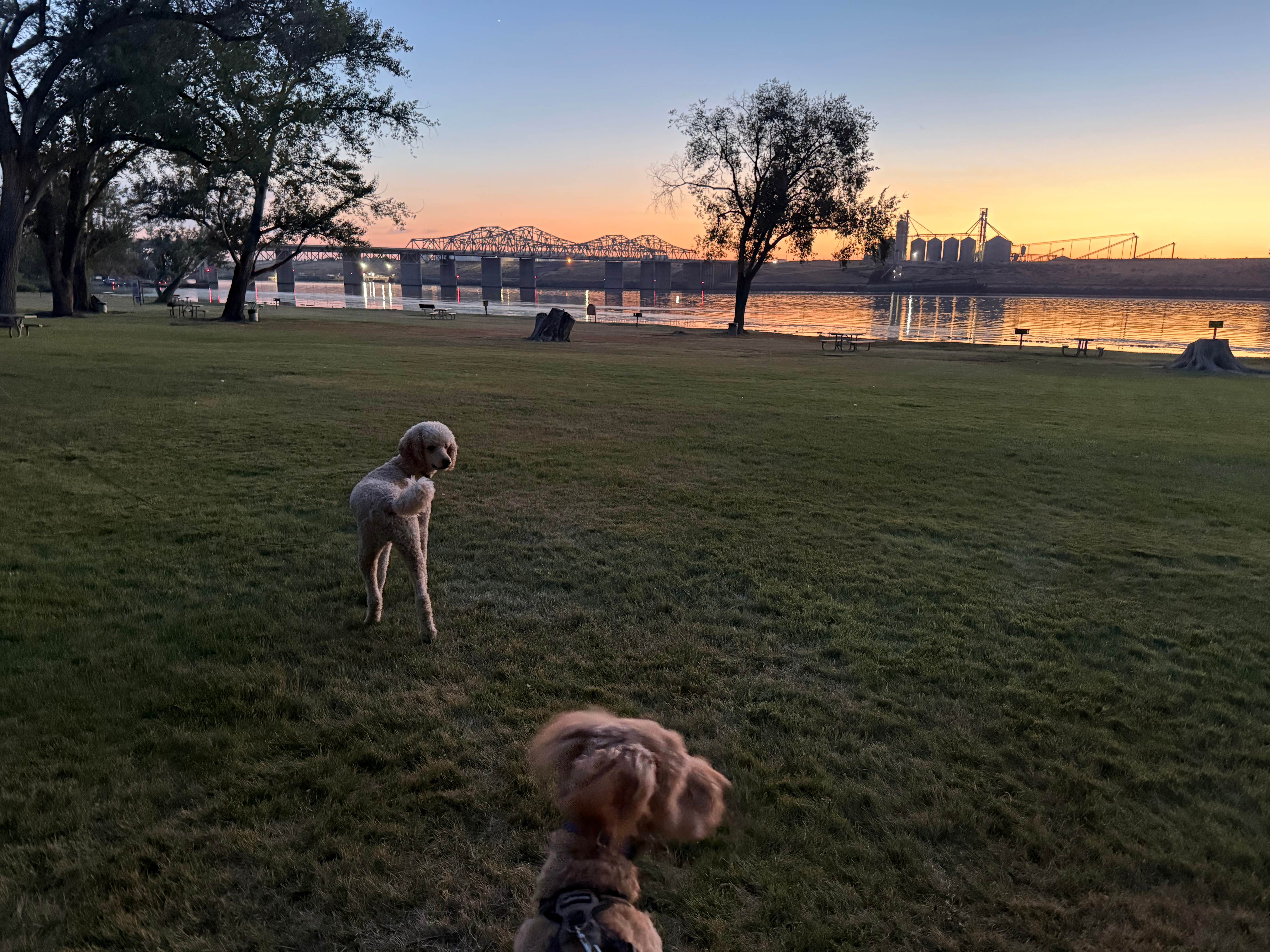 Katie D.'s photo of camping with pets at Hood Park near Pasco, WA