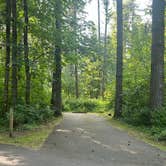 Review photo of Ike Kinswa State Park Campground by Lisa A., June 2, 2025
