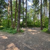 Review photo of Ike Kinswa State Park Campground by Lisa K., June 2, 2025