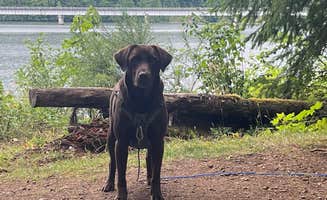 Caitlyn R.'s photo of camping with pets at Ike Kinswa State Park Campground near Onalaska, WA