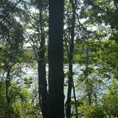 Review photo of Ike Kinswa State Park Campground by Lisa A., June 2, 2025