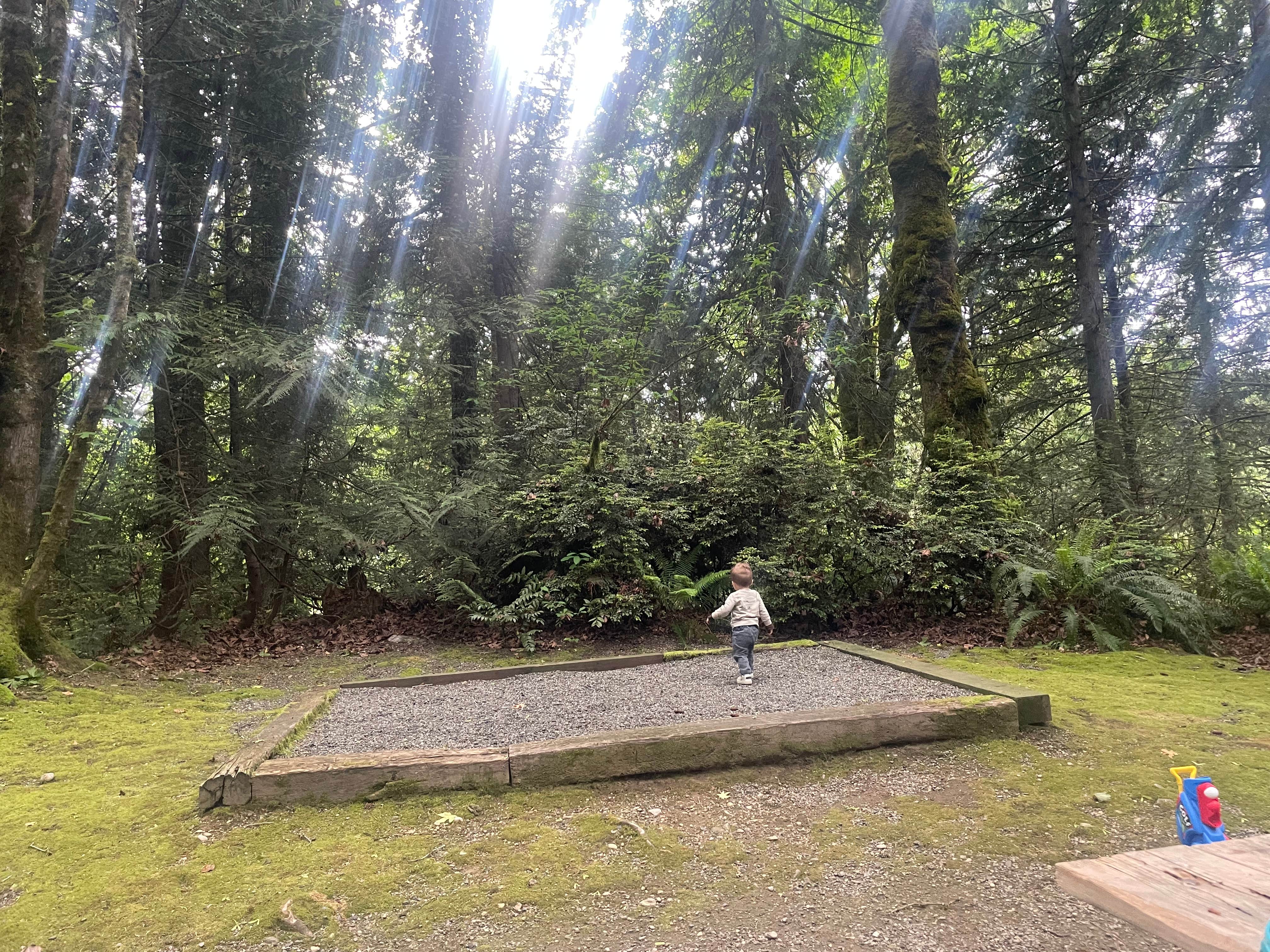 Camper-submitted photo at Illahee State Park Campground near Silverdale, WA