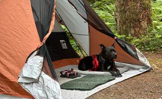 B K.'s photo of camping with pets at Iron Creek Campground near Randle, WA