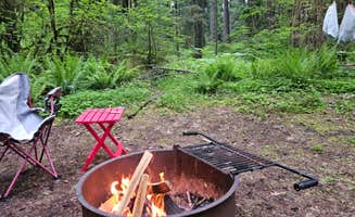 Gayle K.'s photo at Iron Creek Campground near Morton, WA